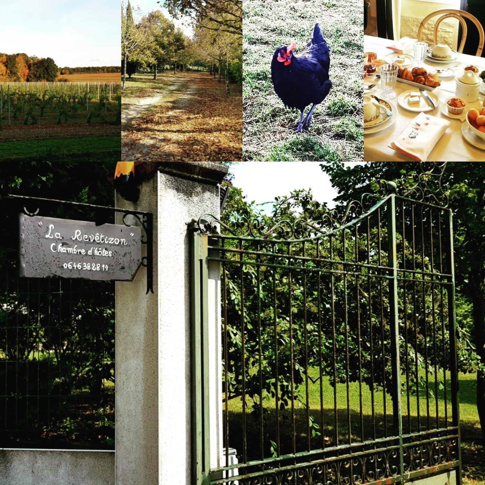 Bed and Breakfast La Revetizon Siecq Экстерьер фото
